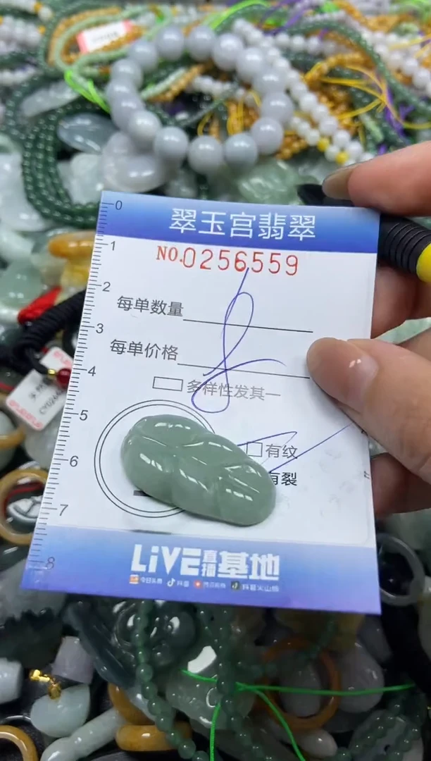 颈饰未镶嵌翡翠闪购C0256559