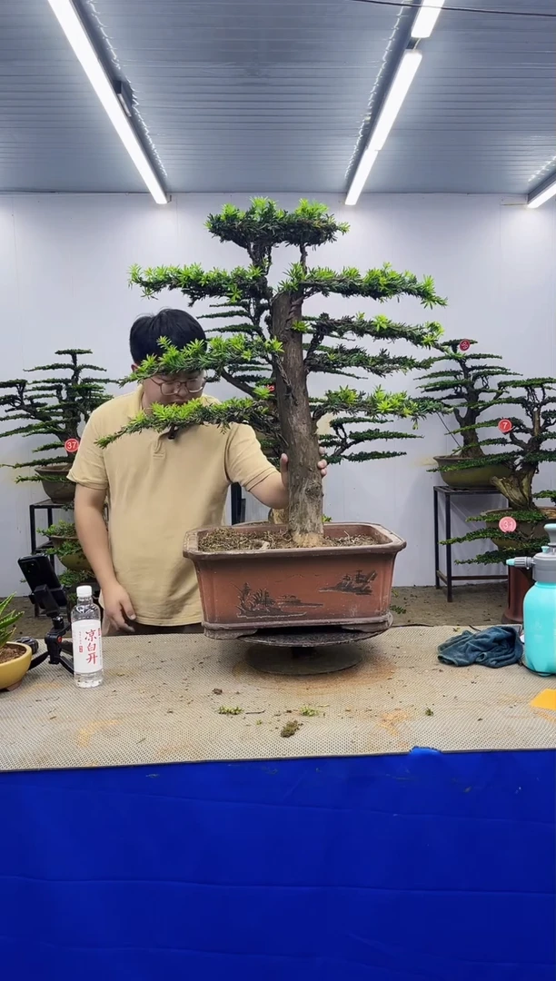 无花朵一物一拍，所见即所得