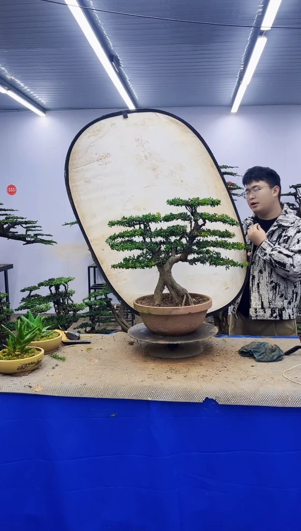 完全开放一物一拍，所见即所得