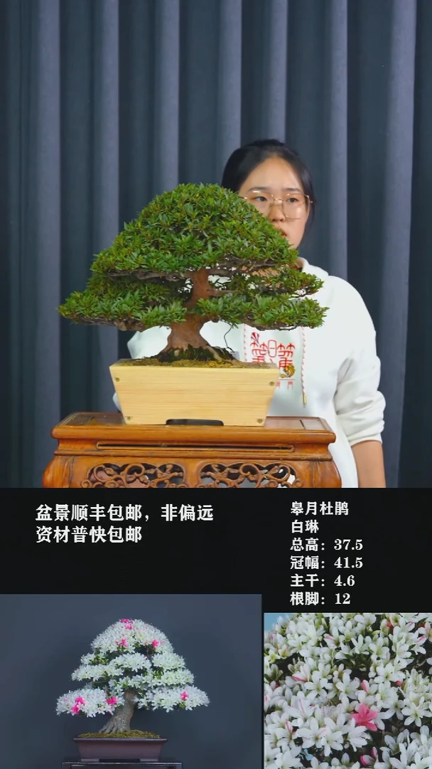 无花朵S****豆白琳-STO 303