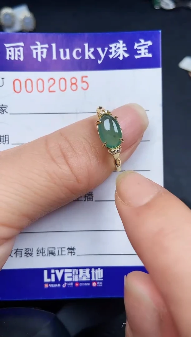 翡翠银S925镶嵌颈饰2085