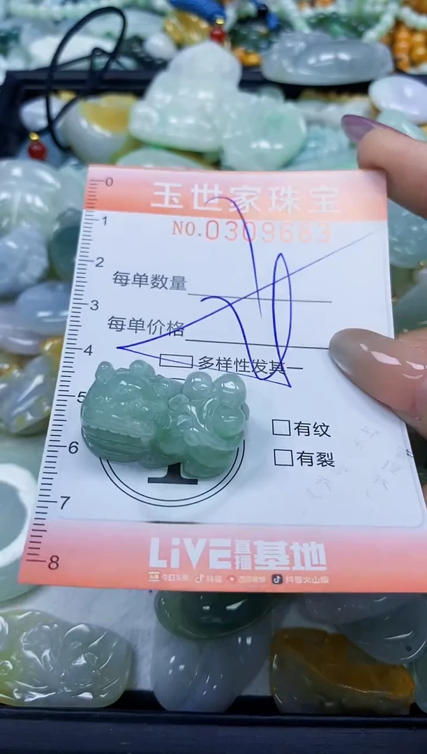 翡翠未镶嵌颈饰闪购0309683多样性发其一