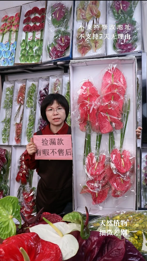 完全开放卡莉博17枝(长35-45横冠幅12-15有瑕福利不退不换不售后