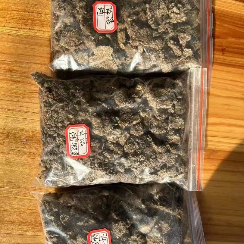 （许小哥）网红爆款三角梅强哥鸭粪