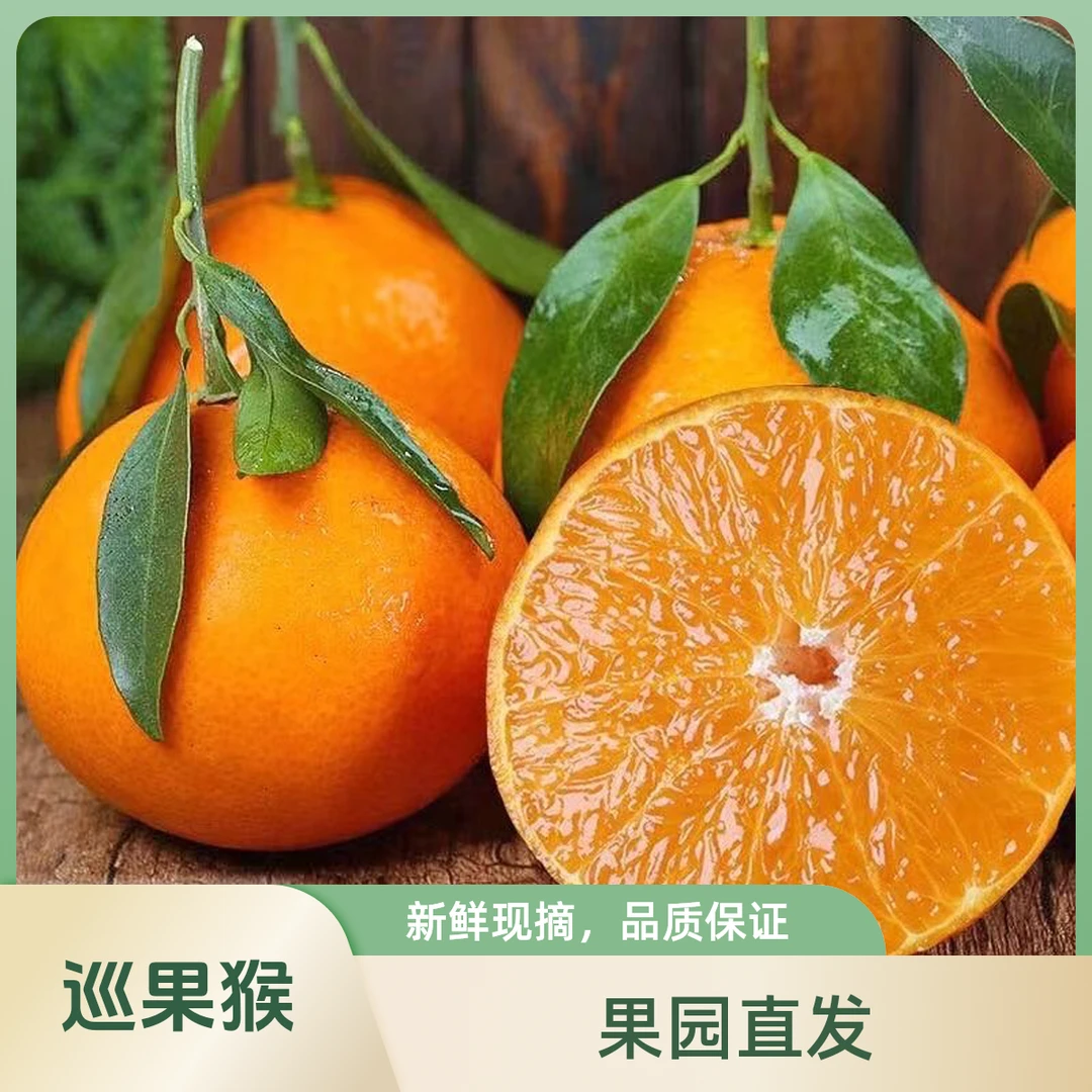 正宗四川爱媛38号果冻橙酸甜爽口果园新鲜直发