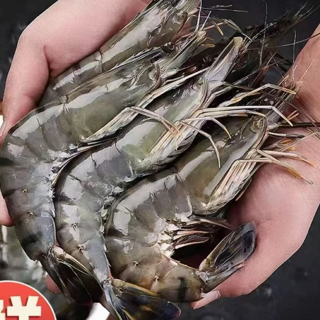 鲜冻黑虎虾 老虎虾 每斤15-18只左右 3斤/盒