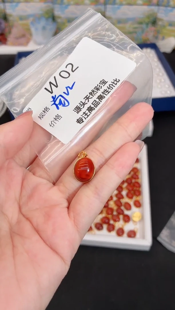 吊坠(不含链)银S925镶嵌南红玛瑙多样性发一W02