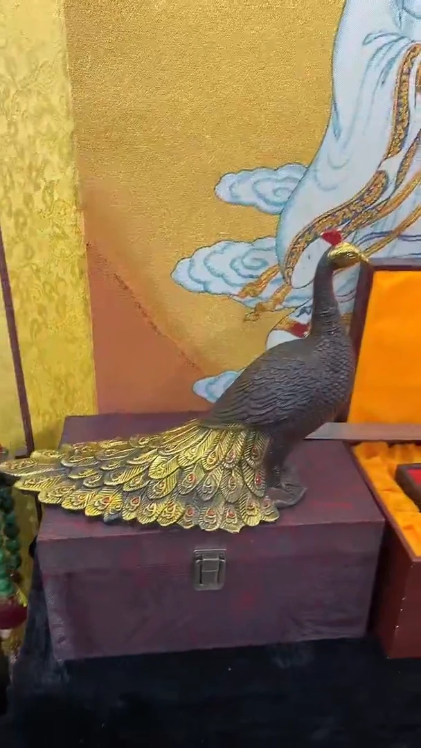 【闪购商品】主播推荐