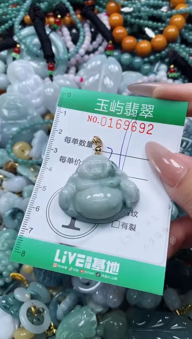 翡翠未镶嵌颈饰闪购0169692