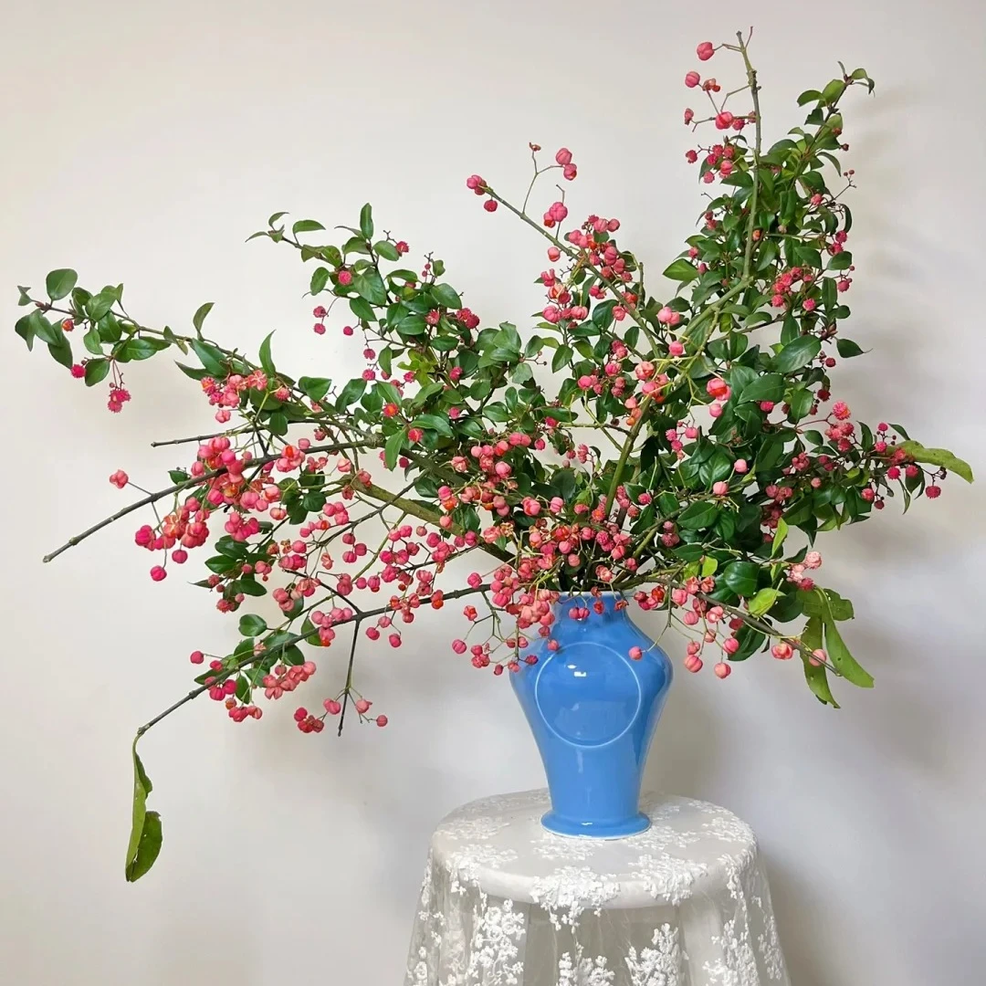 【我种花】灯笼果居家办公室观赏装饰高级小众水养鲜切花云南直发