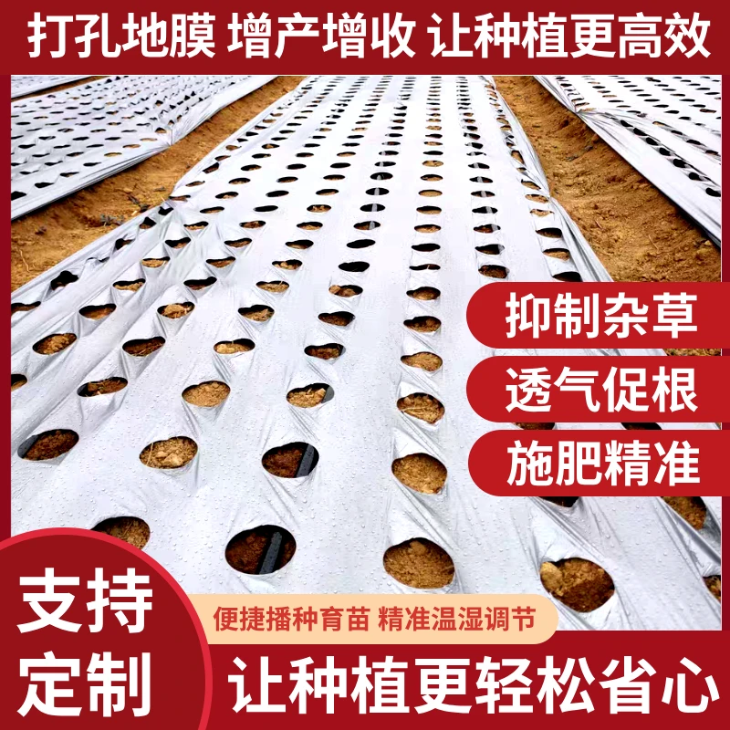 银黑反光免打孔农用抗老化保温透气种植瓜果蔬菜地膜农用薄膜