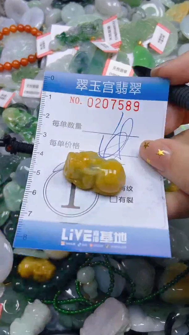 颈饰未镶嵌翡翠闪购C0207589多样性发其一