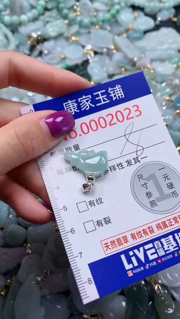 颈饰未镶嵌翡翠2023