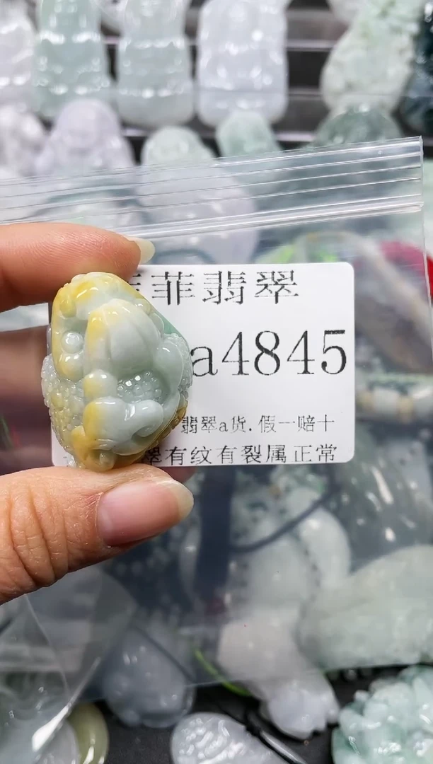 【闪购商品】翡翠颈饰未镶嵌闪购4845