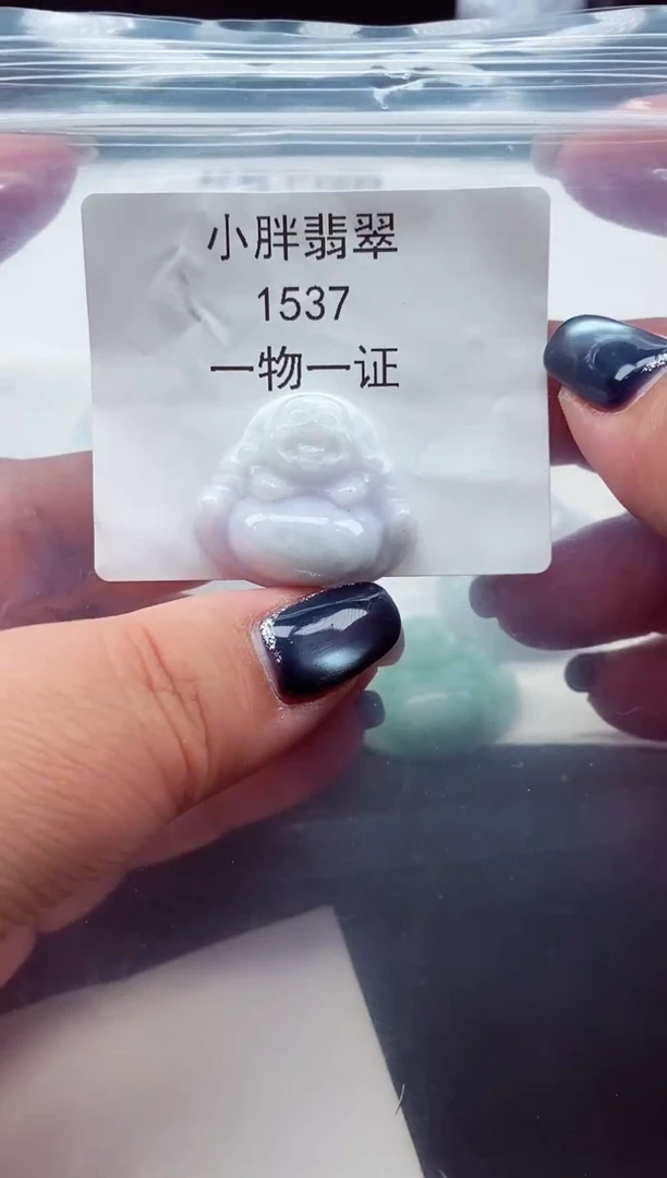 颈饰未镶嵌翡翠缅甸天然A货翡翠1537