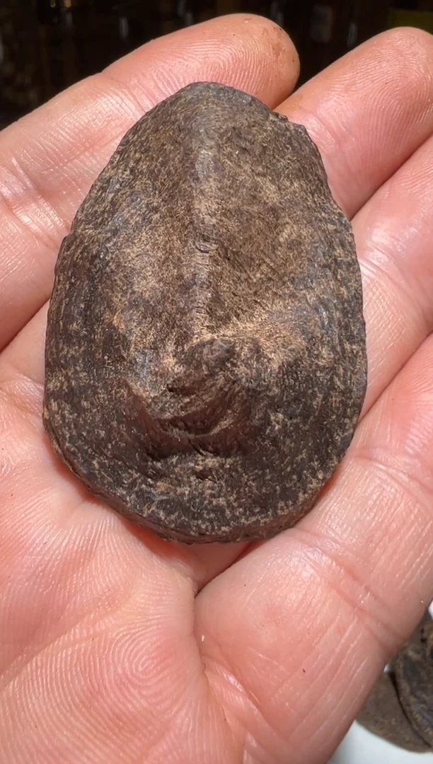 沉香沉香碎屑Y***7马泥涝5.5克