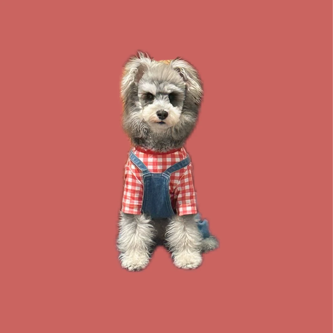 【明盒】孤品拍这~直播间专用链接