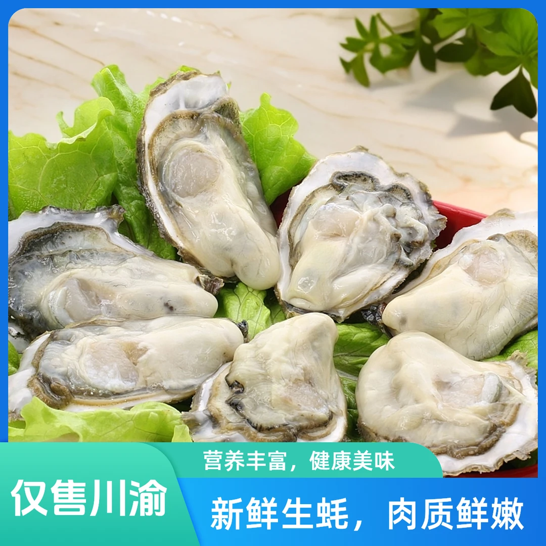 【三斤】乳山生蚝三斤鲜活海鲜鲜活贝类包邮N