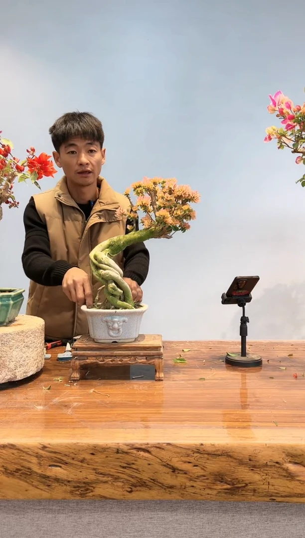 【闪购商品】aa935