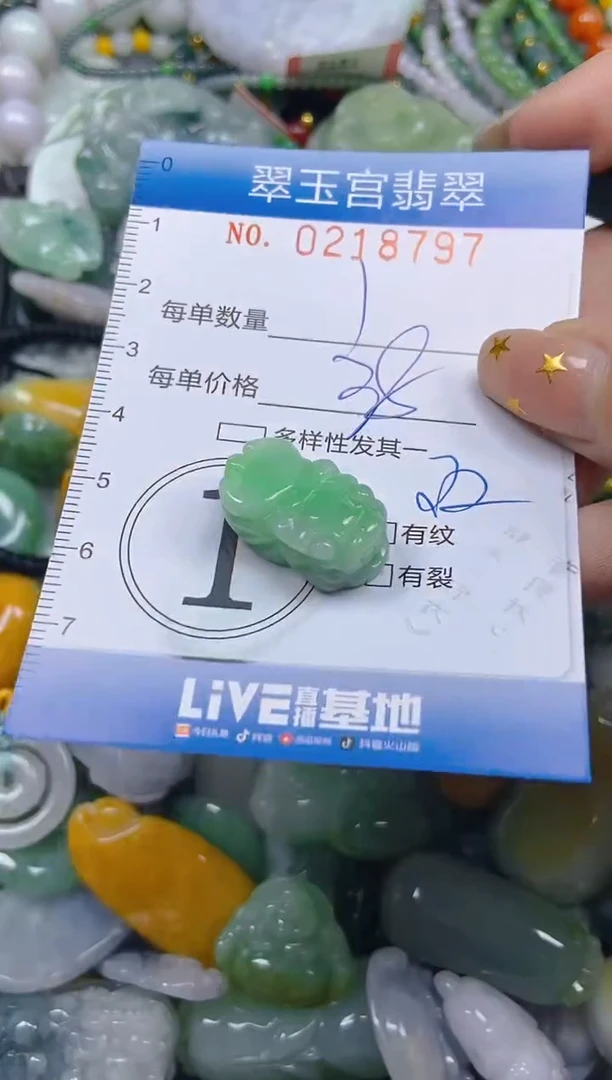 颈饰未镶嵌翡翠闪购C0218797