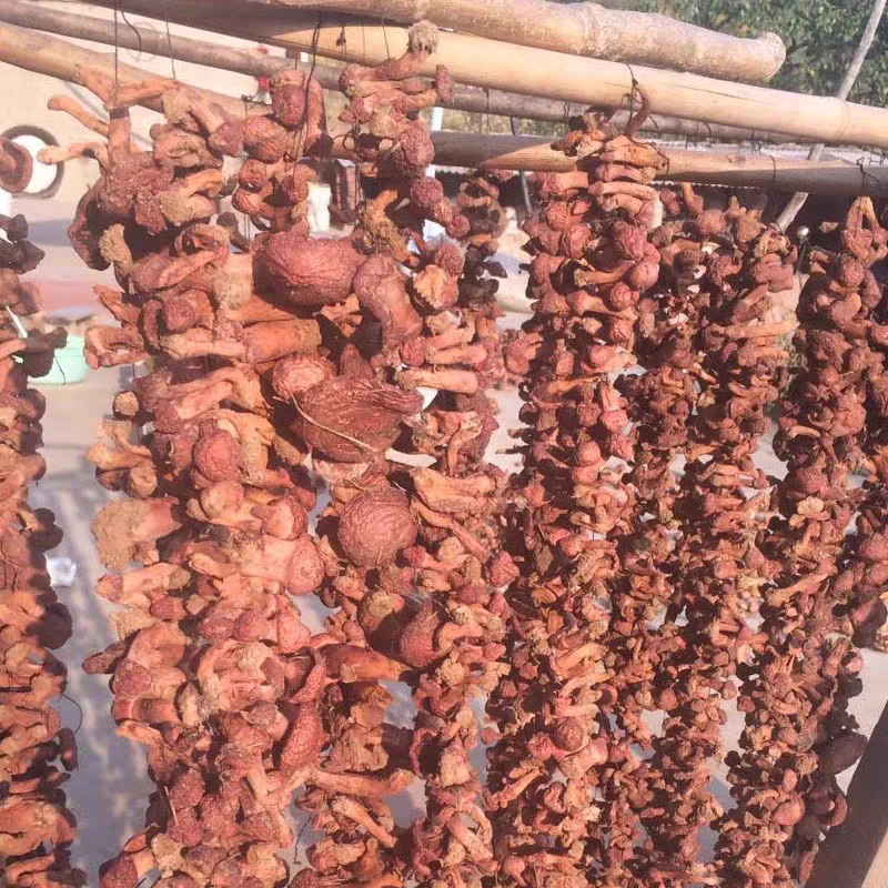 东北野生红松伞肉蘑干货自然晾晒小鸡炖蘑菇