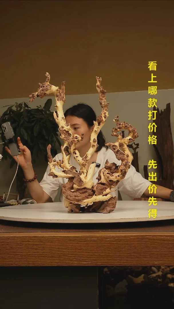 木宜****广金丝红木988