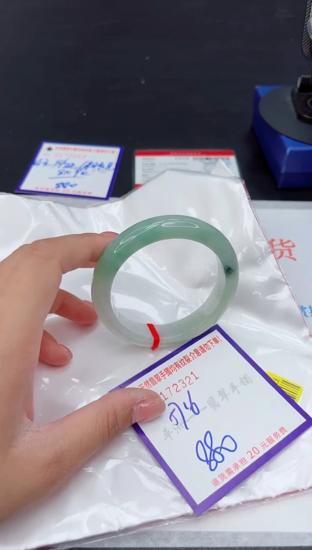 未镶嵌手镯翡翠1