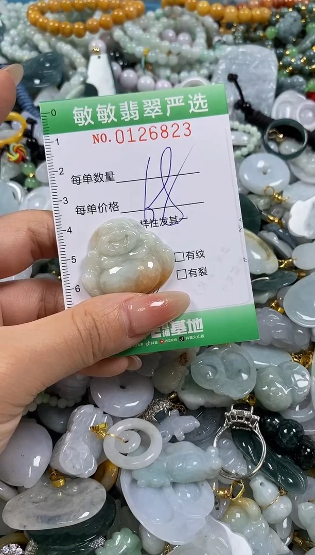 【闪购商品】翡翠颈饰未镶嵌闪购0126823