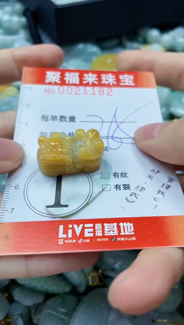 【闪购商品】翡翠颈饰未镶嵌闪购0021182