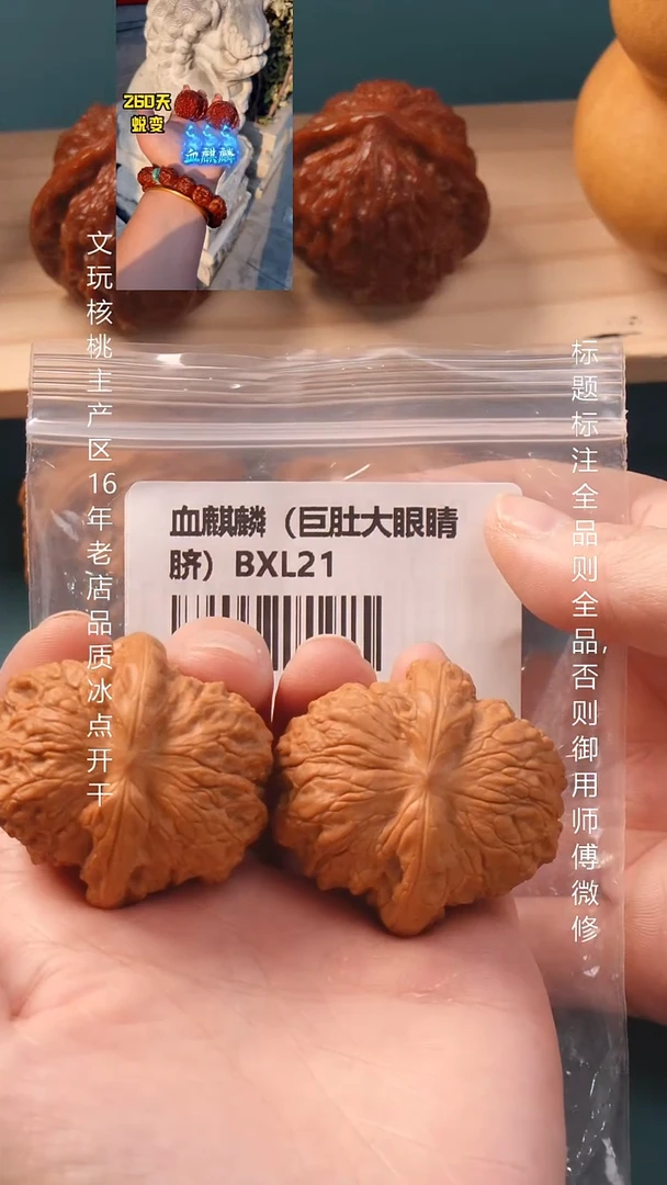 把件文玩核桃41血麒麟狮子头6号