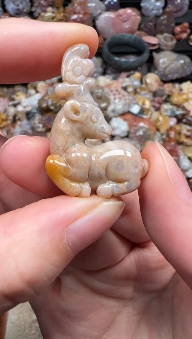 颈饰未镶嵌硅化珊瑚（珊瑚玉）250