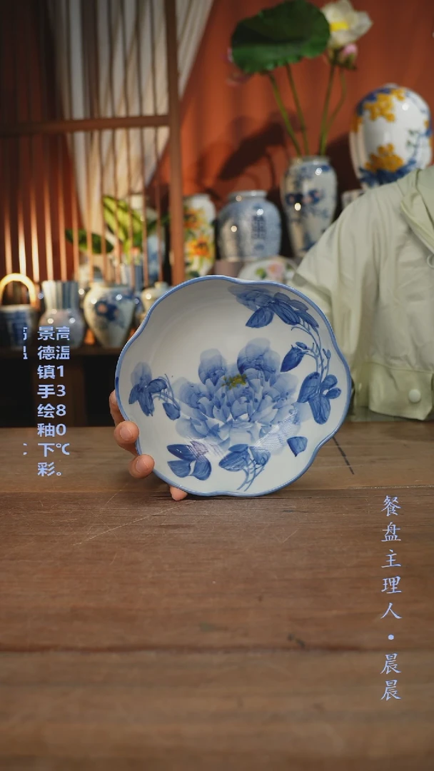 瓷片【简家甄选】景德镇设计师釉下手绘陶瓷餐具