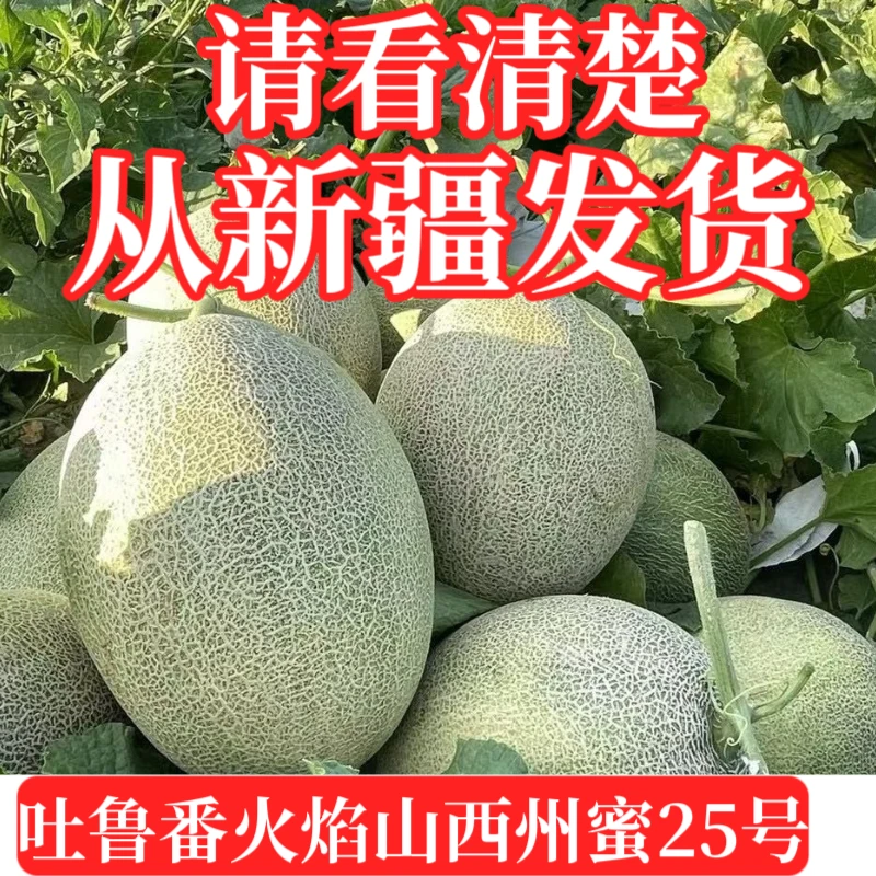 新疆发货正宗吐鲁番西州蜜25号网纹瓜当季新鲜脆甜水果