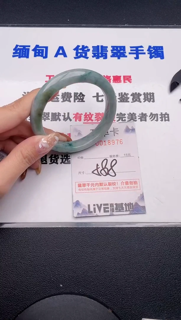 未镶嵌手镯翡翠76
