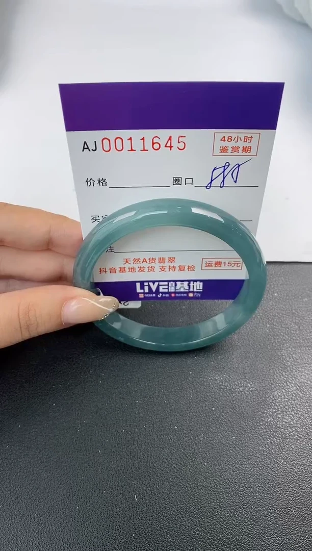 未镶嵌手镯翡翠天然A货翡翠