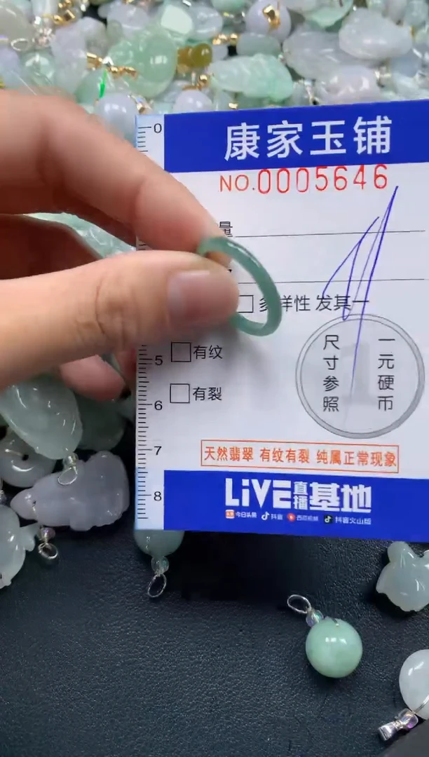 颈饰未镶嵌翡翠5646