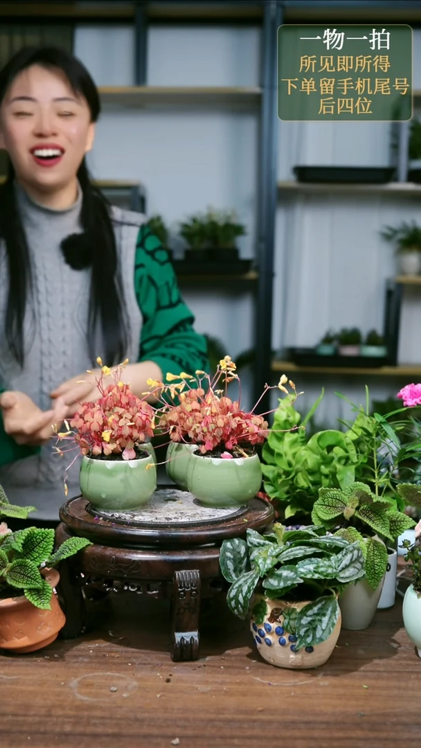 【闪购商品】26绿色熔岩随机