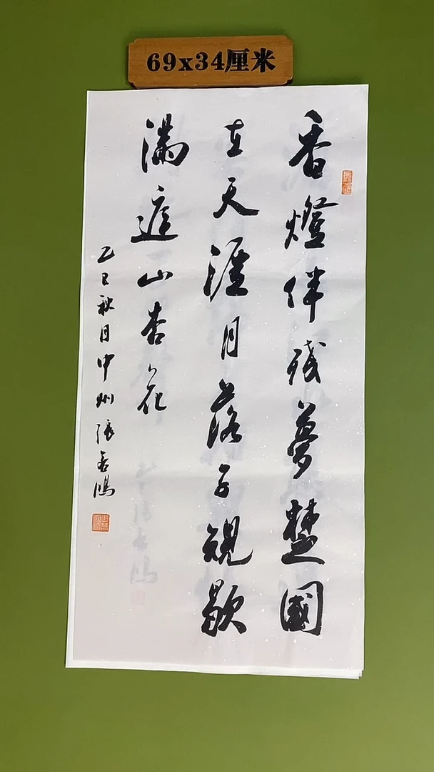 书法书法 张若鸿 尺寸69cm*34cm