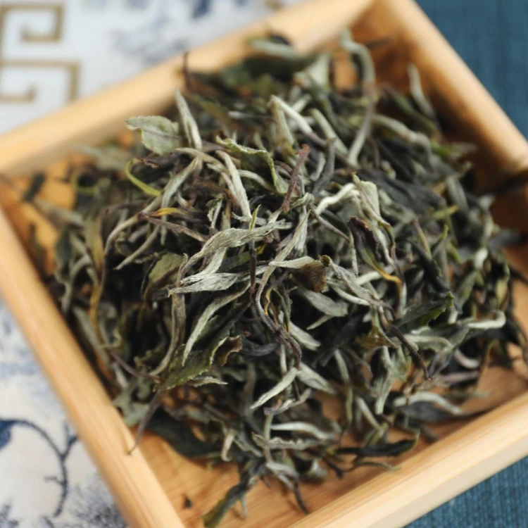 【竹叶坪金龙村助农】桑植白茶