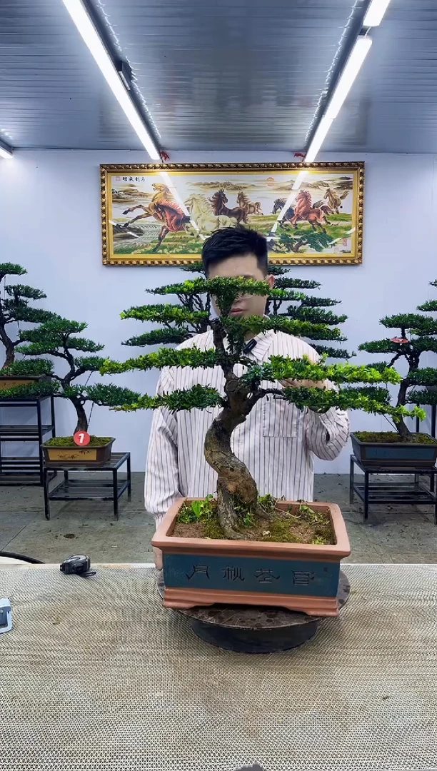 无花朵一物一拍，所见即所得