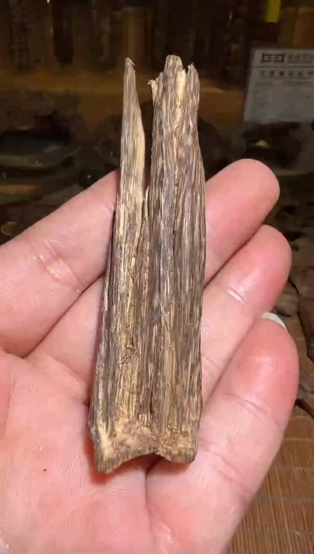 沉香沉香碎屑莱特5.7克