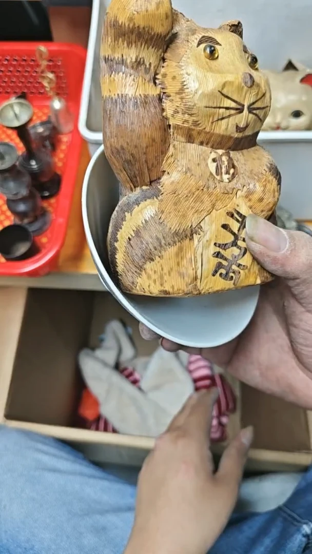 其他時*金猫定向回流专拍