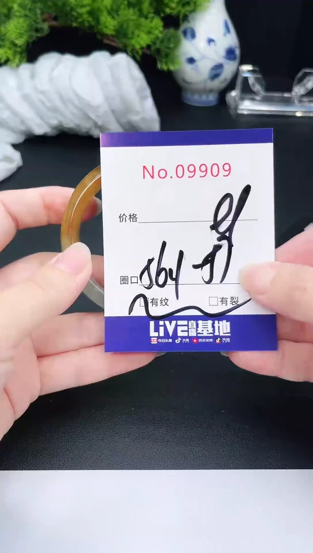 未镶嵌手镯翡翠9909