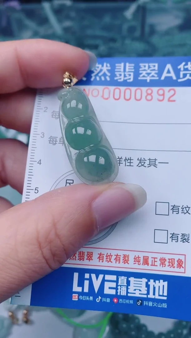 颈饰未镶嵌翡翠00000892