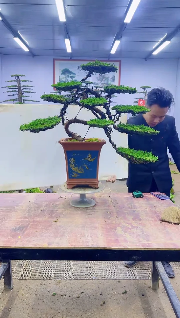 【闪购商品】一物一拍，所见即所得