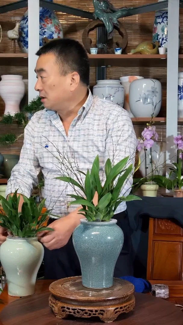 无花朵玉*人水之韵水培梦香兰