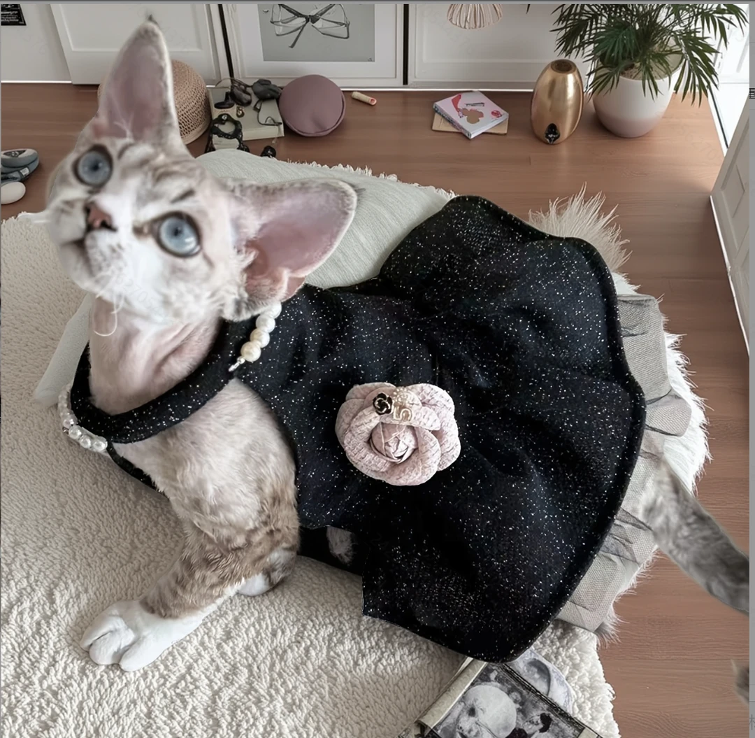 夏款宠物潮牌衣服香香风夏季薄款吊带裙猫猫衣服马尔济斯西施