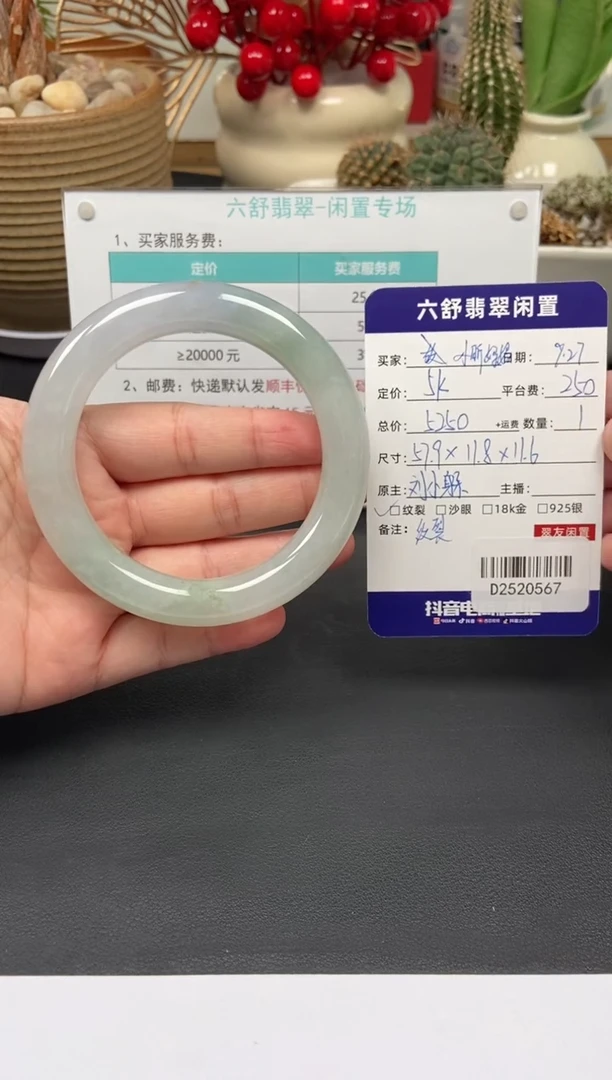 未镶嵌手镯翡翠小**妈D2520567