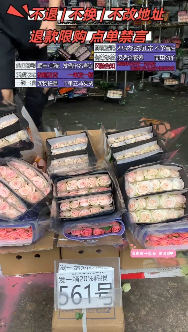 561号♥含20%耗损发一箱