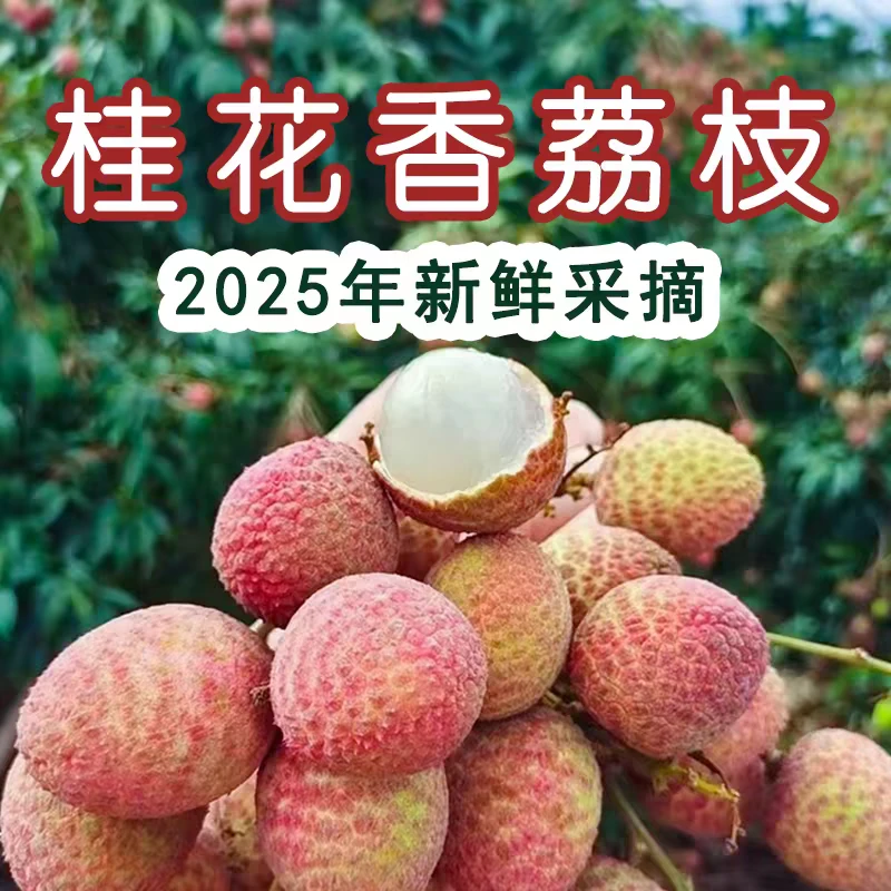 海南空运桂花香荔枝 净重2.3斤 头茬大果 顺丰发货